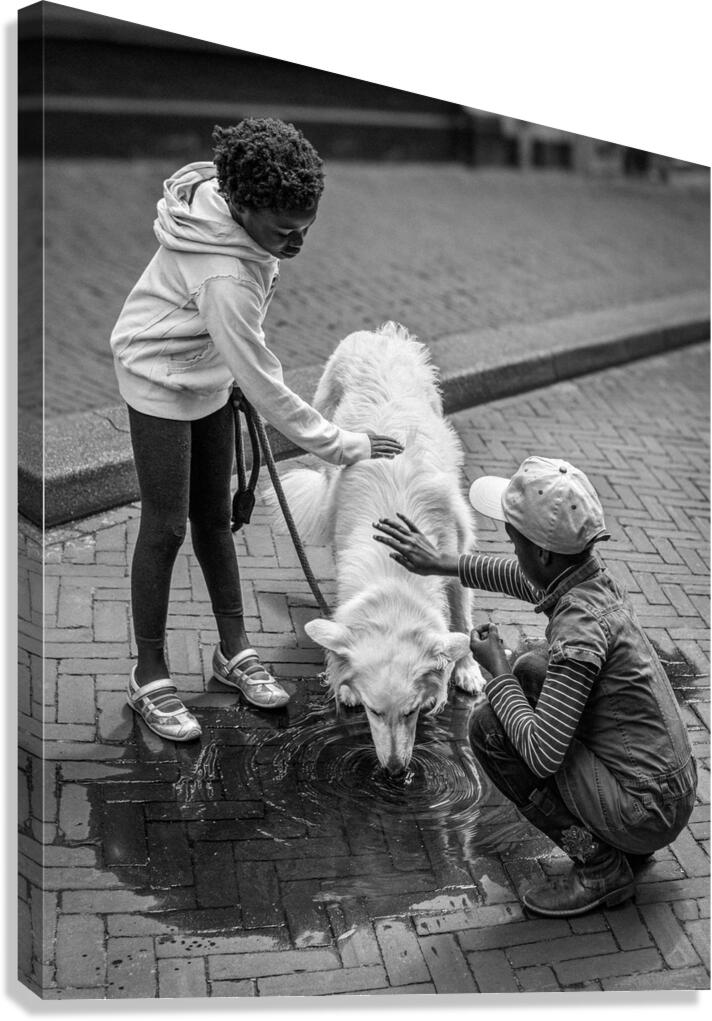 Watering Hole Canvas Print