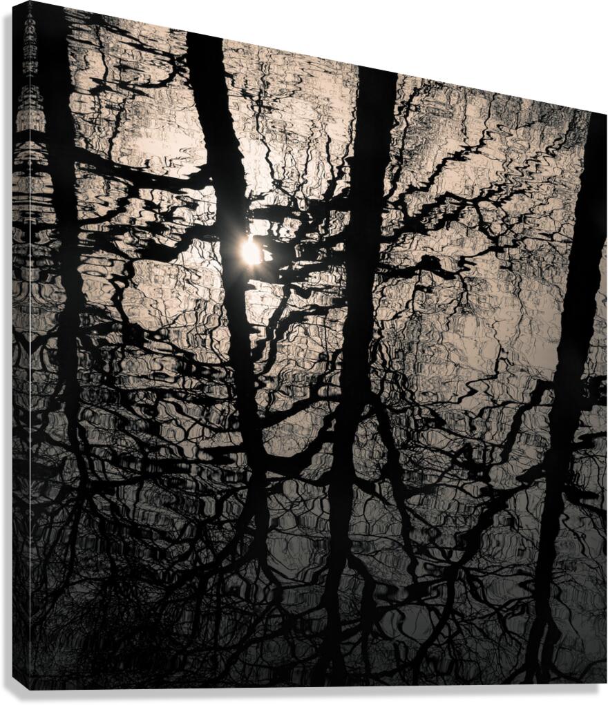 Woodland Waters Canvas Print