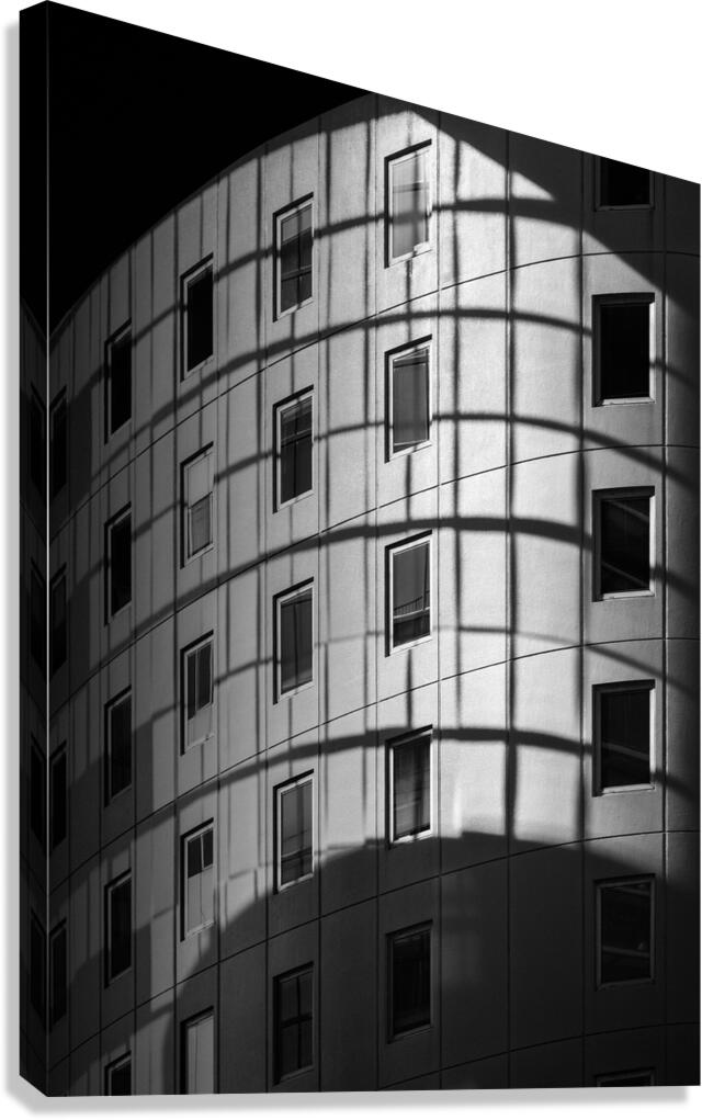 Spatial Rhythm Canvas Print