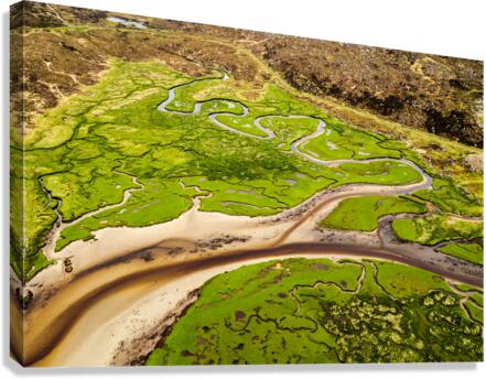 Harris Marshland Canvas Print