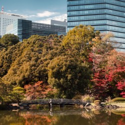 Shinjuku Gyoen National Garden