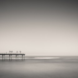 Four Trees on a Pier