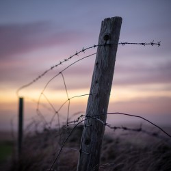 Anglesey Fence at Sunset
