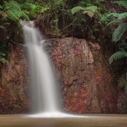 Tropical Waterfall