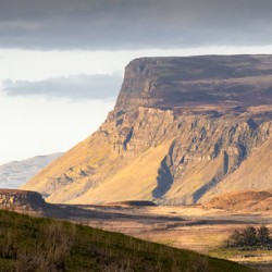 Highland Coo with a View