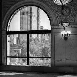 Chicago Cultural Center Window
