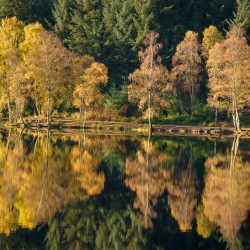 Autumn on Glencoe Lochan