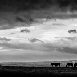 Days End at Hvammstangi