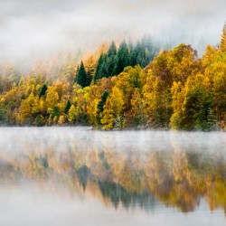 Autumn Mist
