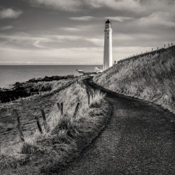 Road to Scurdie Ness