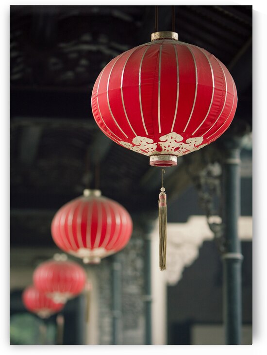 Chinese Lanterns by Dave Bowman