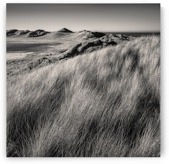 Rattray Head Dunes by Dave Bowman