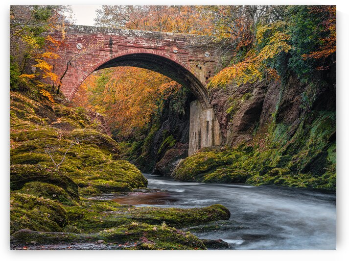 Gannochy Bridge in Autumn by Dave Bowman