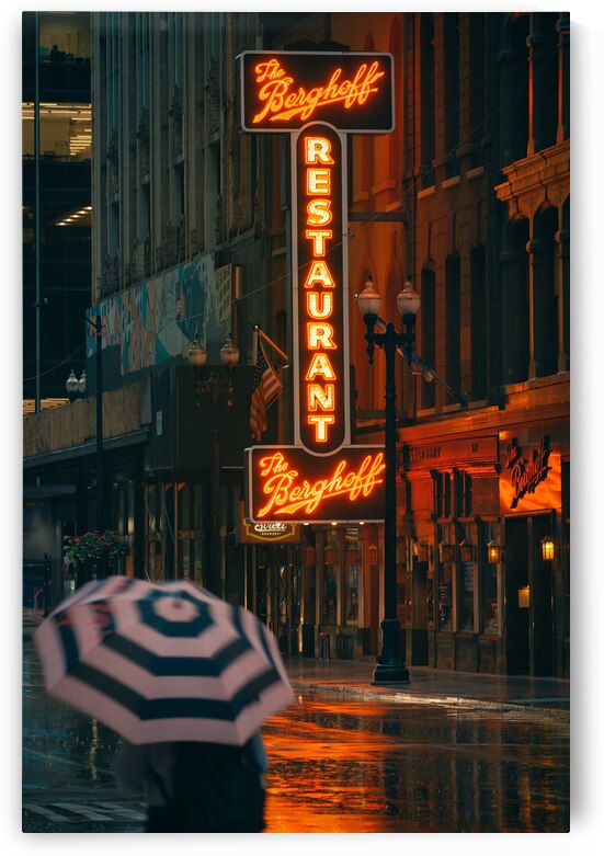 Chicago Rain by Dave Bowman