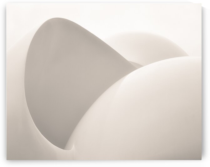 Curves by Dave Bowman