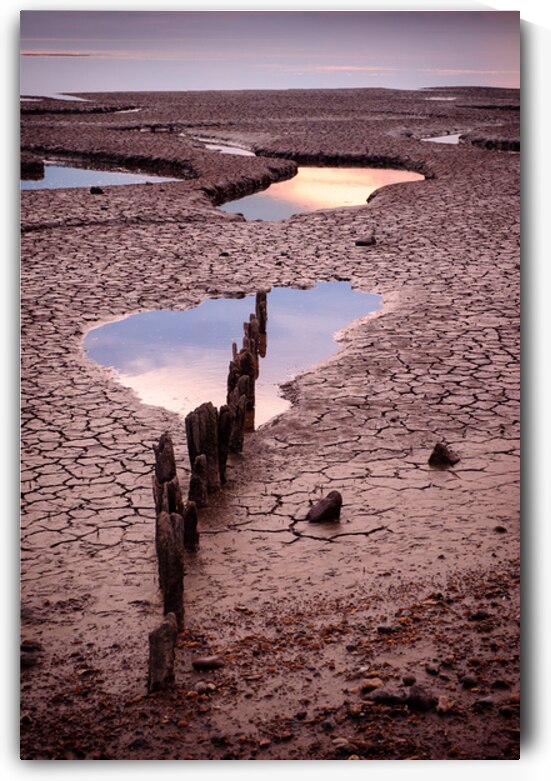 Snettisham Salt Marsh by Dave Bowman