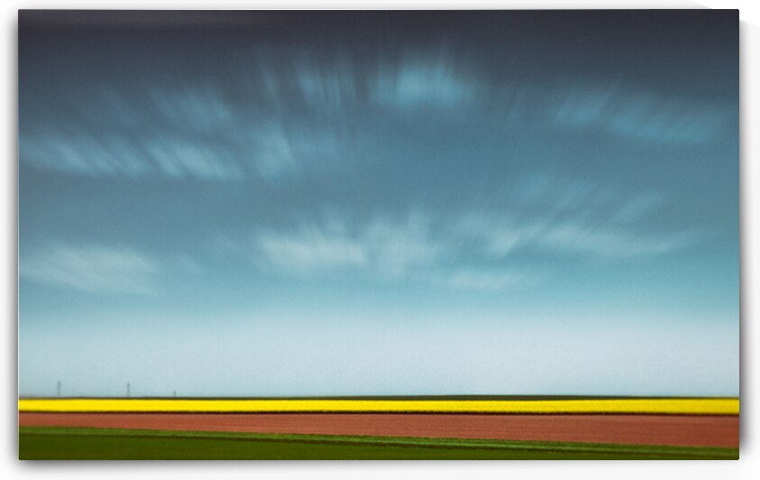 Normandy Fields by Dave Bowman