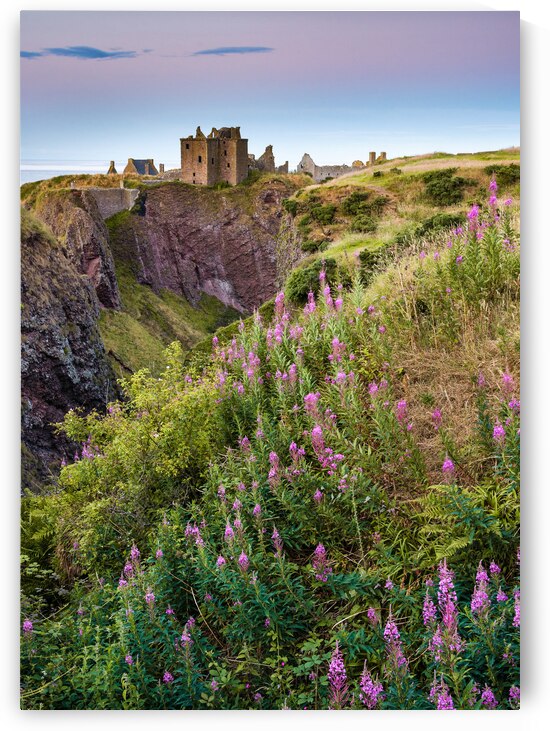Summer at Dunnottar Castle by Dave Bowman