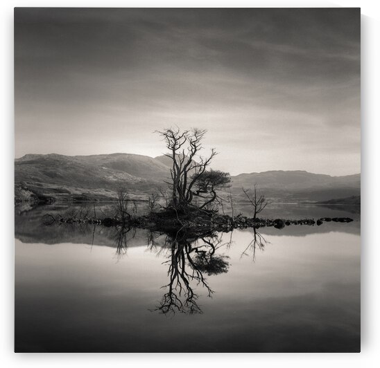 Loch Assynt Reflection by Dave Bowman