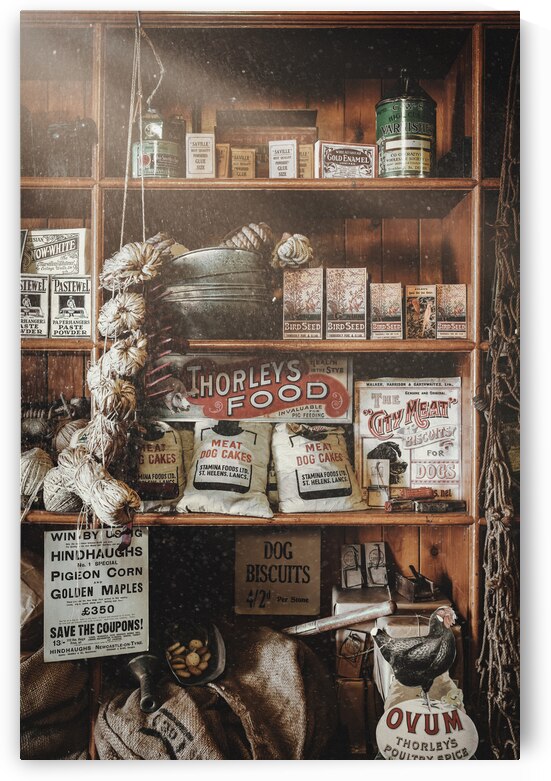 Vintage Store by Dave Bowman