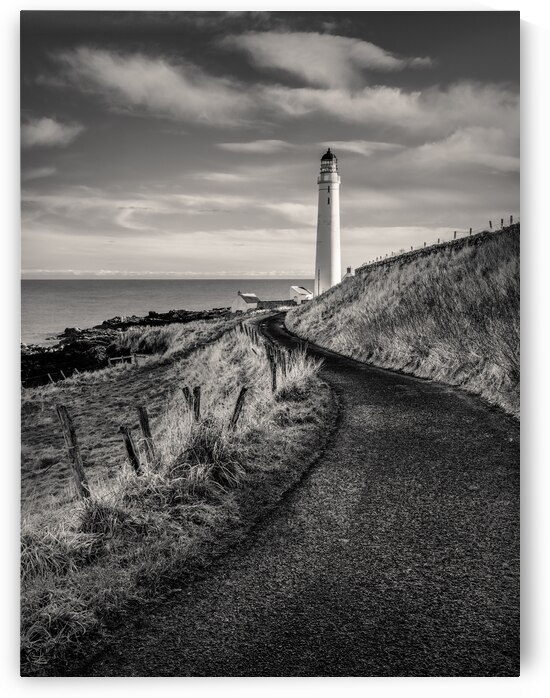 Road to Scurdie Ness by Dave Bowman