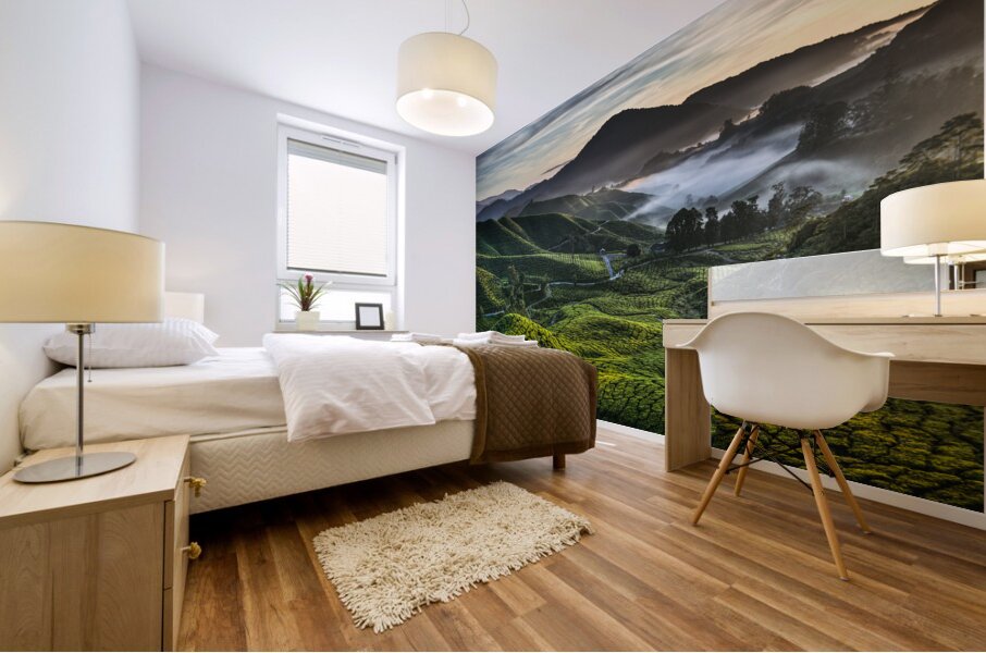 Tea Plantation at Dawn Mural print