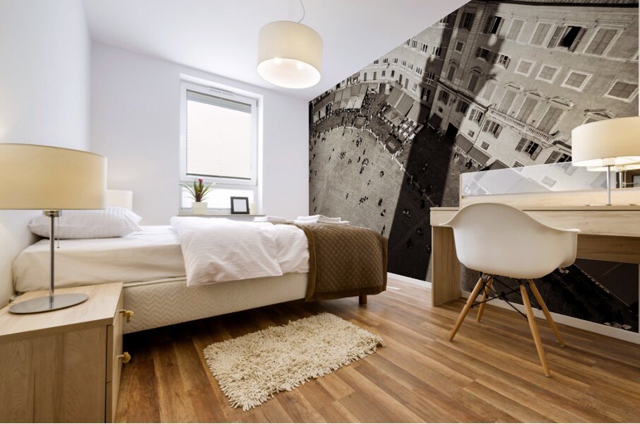 Siena from Above Mural print