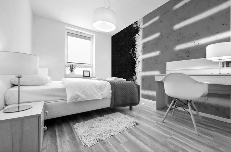 Fence Line Mural print