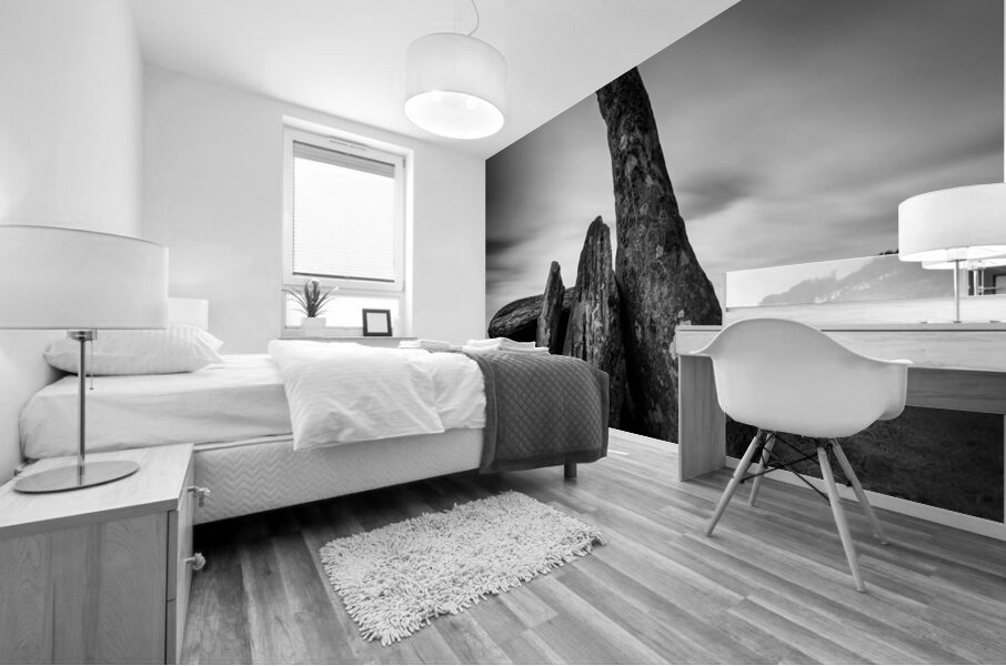 Cairnholy II Mural print