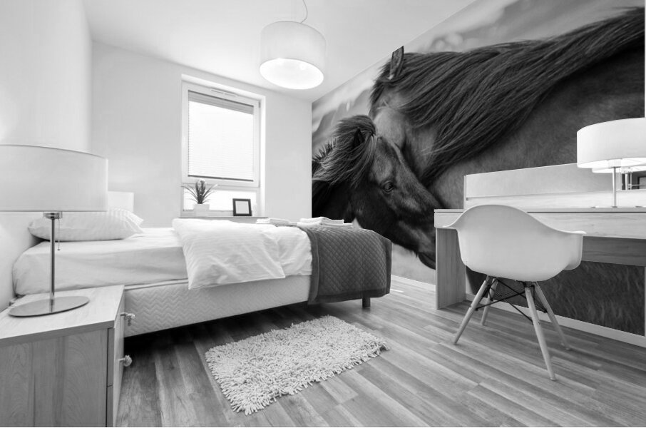 Wild Icelandic Horses Mural print