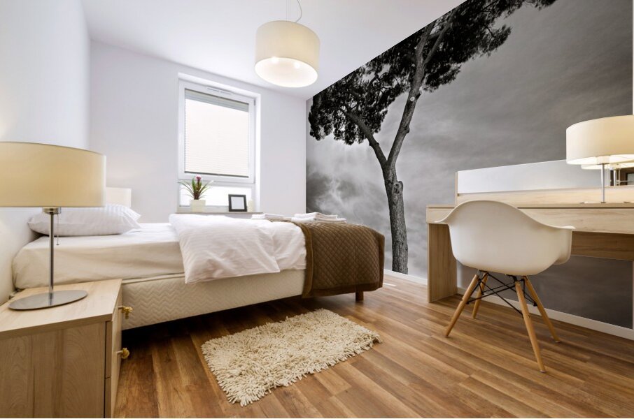 Roman Forum Trees Mural print