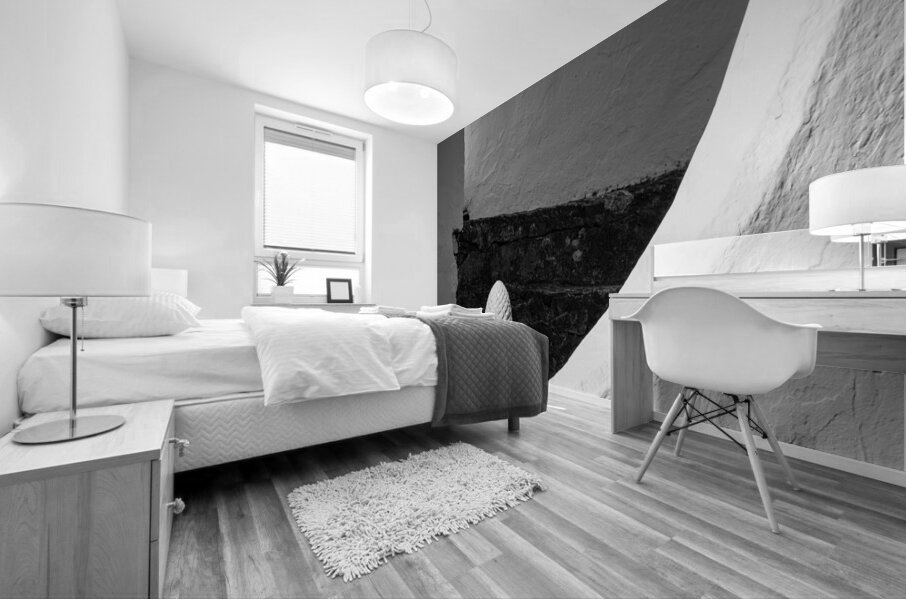 Corn Cap Mural print