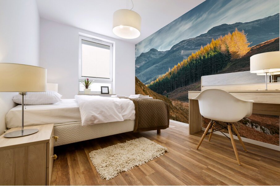Tay Forest Edge Mural print