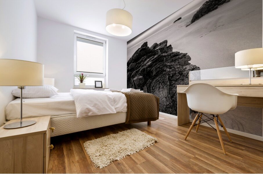 Beach Rocks Mural print