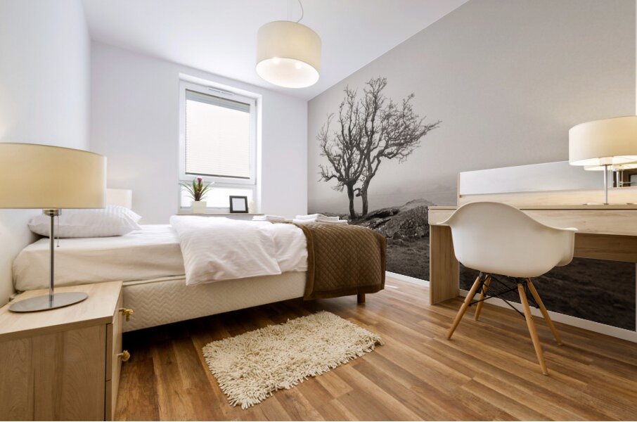 Dartmoor Solitude Mural print