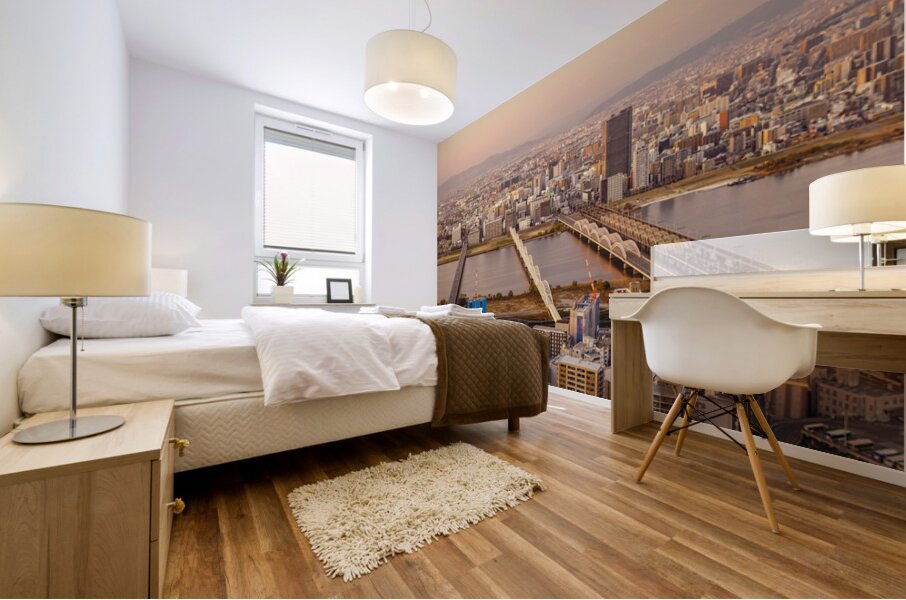 Evening Over the Yodogawa River Mural print