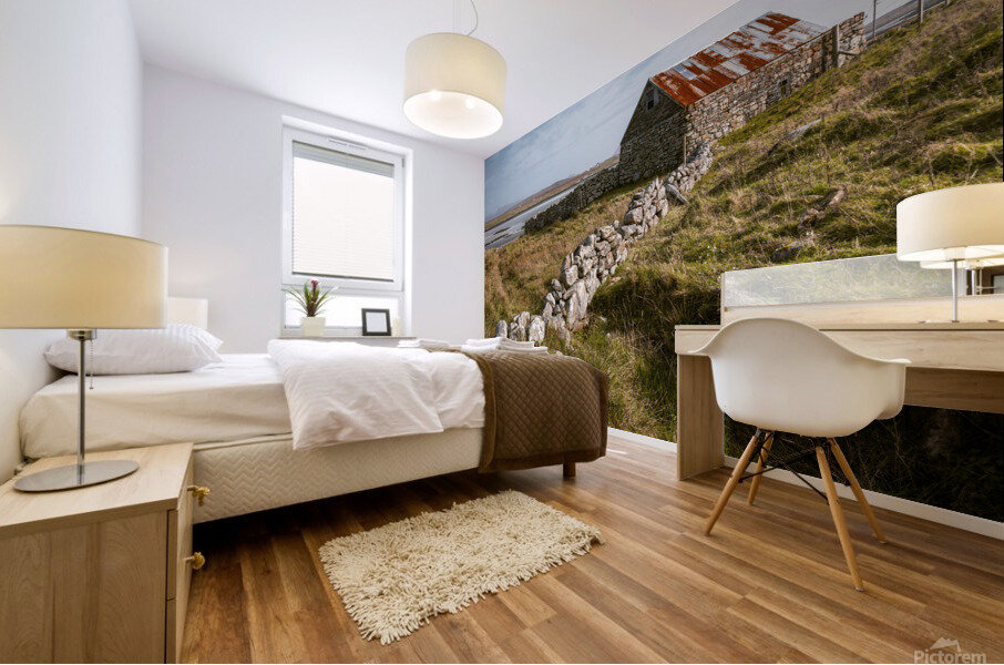 Baleshare Barn Mural print