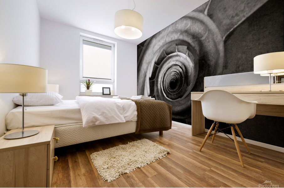 Sagrada Familia Steps Mural print