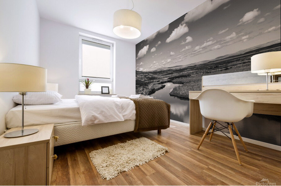 Inchkinloch Reflections Mural print