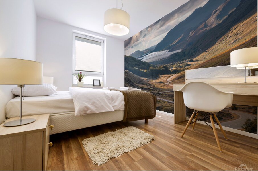 Glen Docherty Mural print