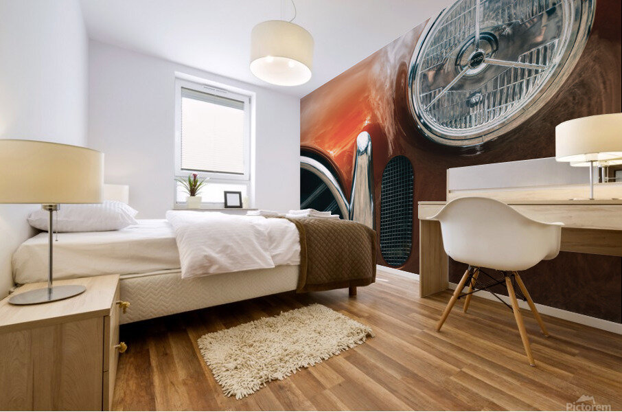 AC Cobra Front Mural print