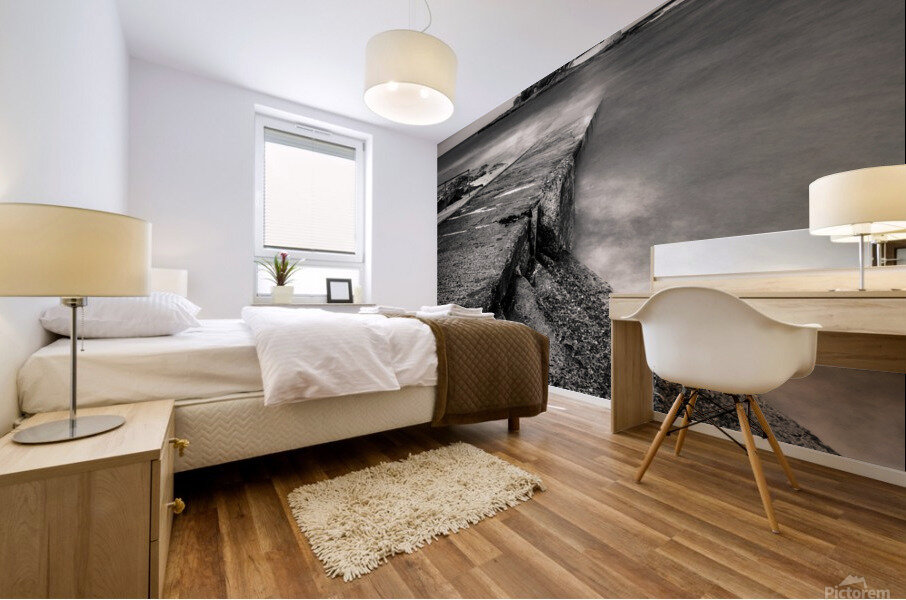 Path to St Marys Lighthouse Mural print