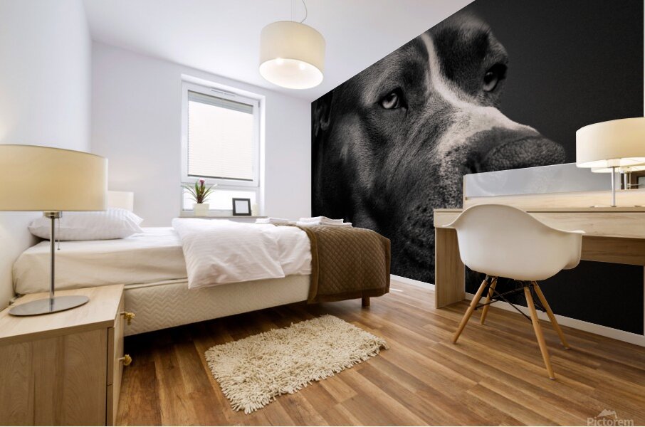 Big Fella Mural print