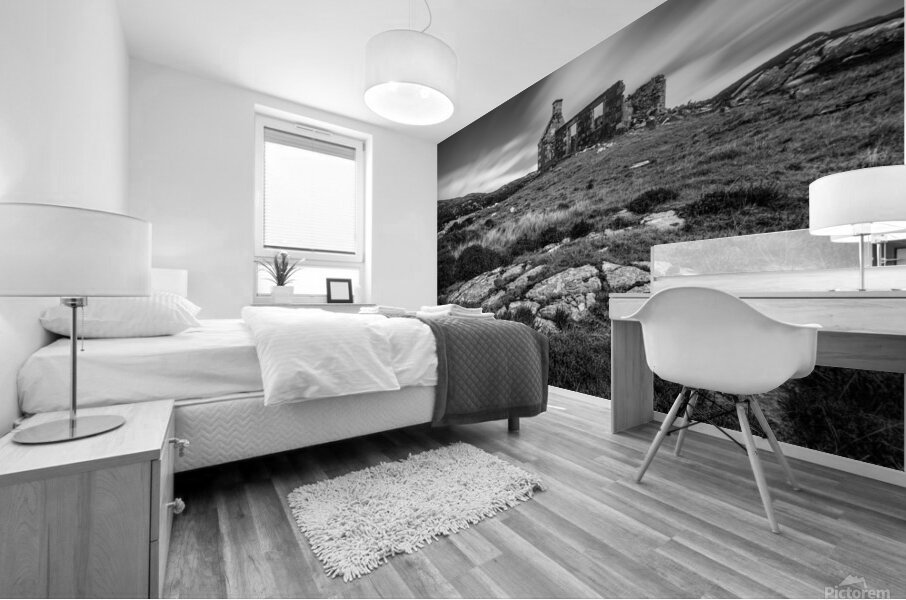 Abandoned Schoolhouse Mural print