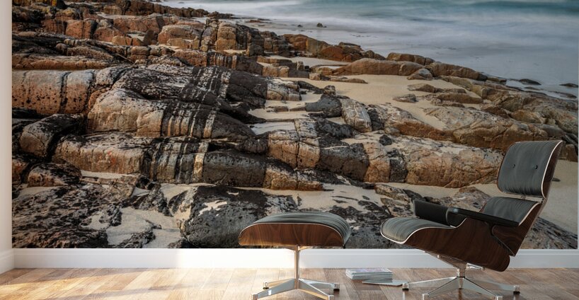 Hosta Beach Rocks Wall Murals
