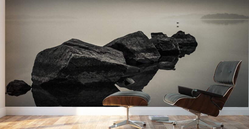 Dawn Flight Wall Murals