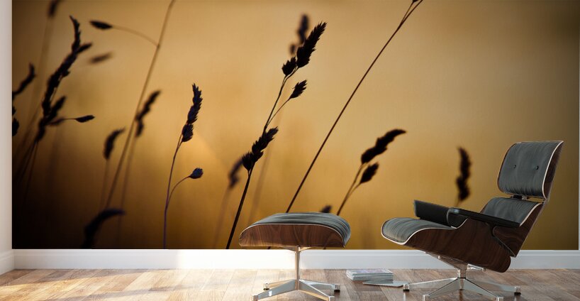 The Field Wall Murals