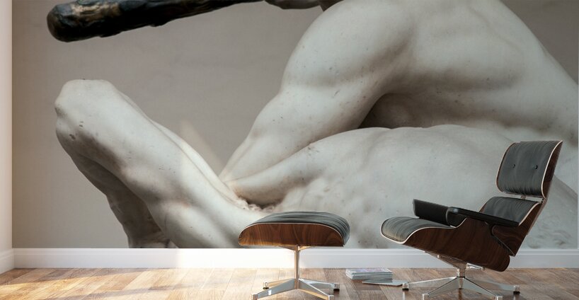 Hercules and the Centaur Nessus Wall Murals