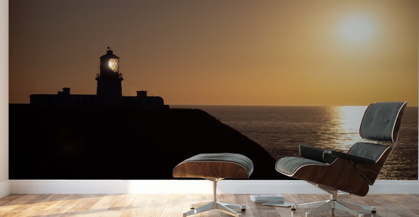 Strumble Head Silhouette Wall Murals