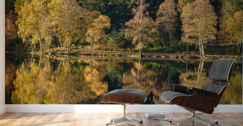Autumn on Glencoe Lochan Wall Murals